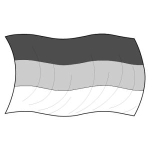 Kategoriebild der Kategorie “35 Fahnen/Zubehör”