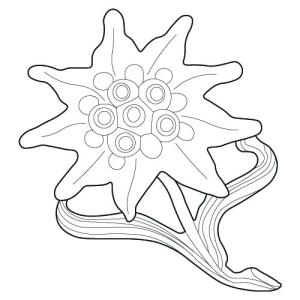 Kategoriebild der Kategorie “636 Abzeichen”