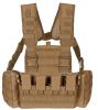 Artikelbild 1 des Artikels “Chest Rig, 