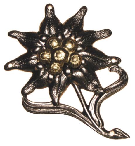 Artikelbild des Artikels “BW Gebirgsjäger-Edelweiß, Metall “