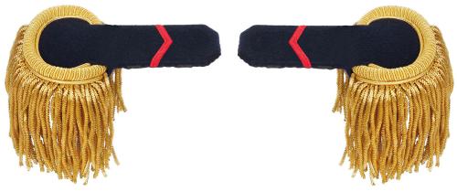 Artikelbild des Artikels “Port. Epauletten, mit Fransen, 