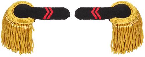 Artikelbild des Artikels “Port. Epauletten, mit Fransen, 