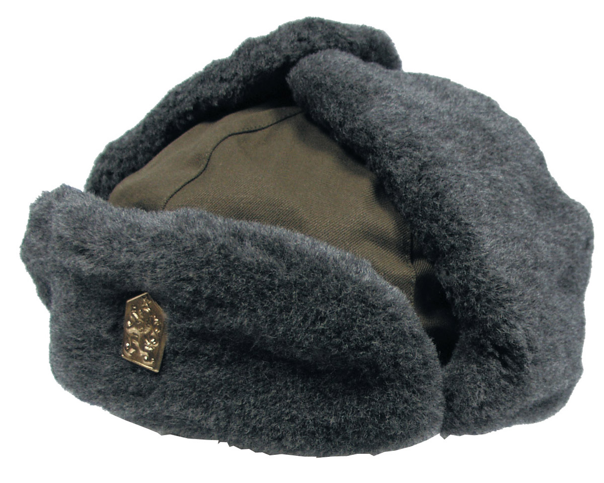 Product image 1 of the product “CZ Winter Cap, OD green, like new ”