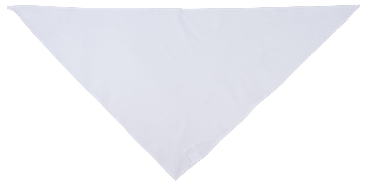 Image 1 de l'article GB Drap triangulaire, blanc, 105 x 50 cm, comme neuf 