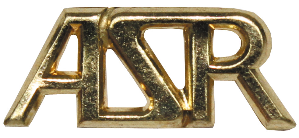 Artikelbild 1 des Artikels “CZ/SK Metallabzeichen, gold, 