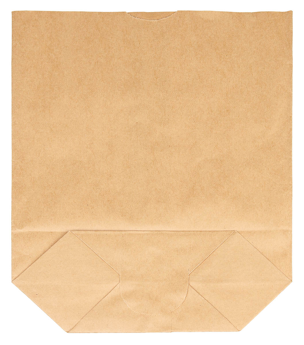 Product image 2 of the product “Paper Bag, 50-pack, 23 x 25 cm, (W x H), like new ”